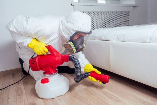 Best Mosquito Control Services  in Ripley, WV