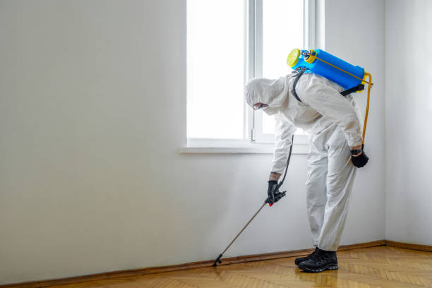 Best Pest Inspection Near Me  in Ripley, WV